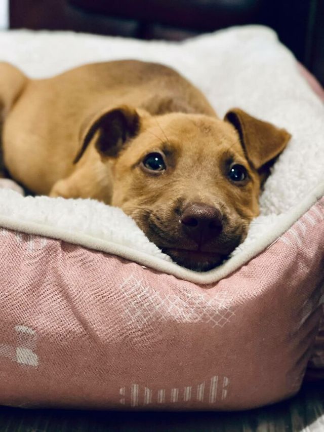 Hayley Blade - фото 437572