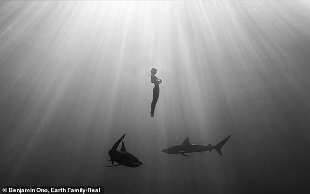 Модель Playboy знялася оголеною серед акули у водах Тихого океану: атмосферні фото - фото 437793
