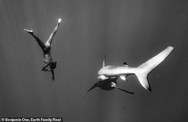Модель Playboy знялася оголеною серед акули у водах Тихого океану: атмосферні фото - фото 437794