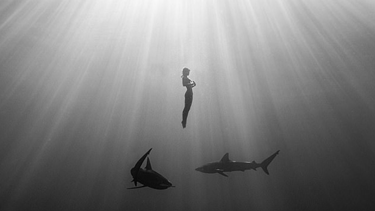 Модель Playboy знялася оголеною серед акули у водах Тихого океану: атмосферні фото