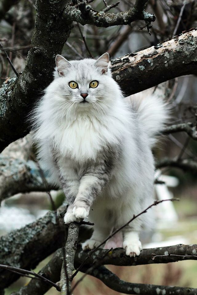 reddit - фото 437933