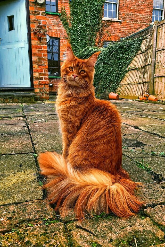 reddit - фото 437937