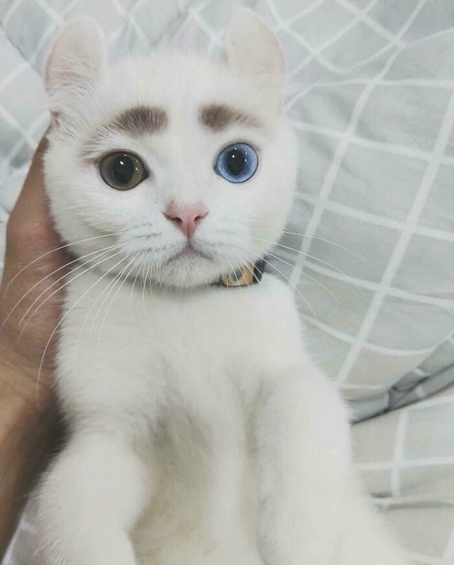 reddit - фото 437941