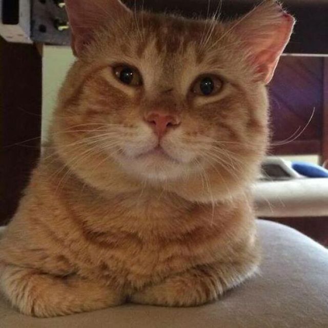 reddit - фото 437943