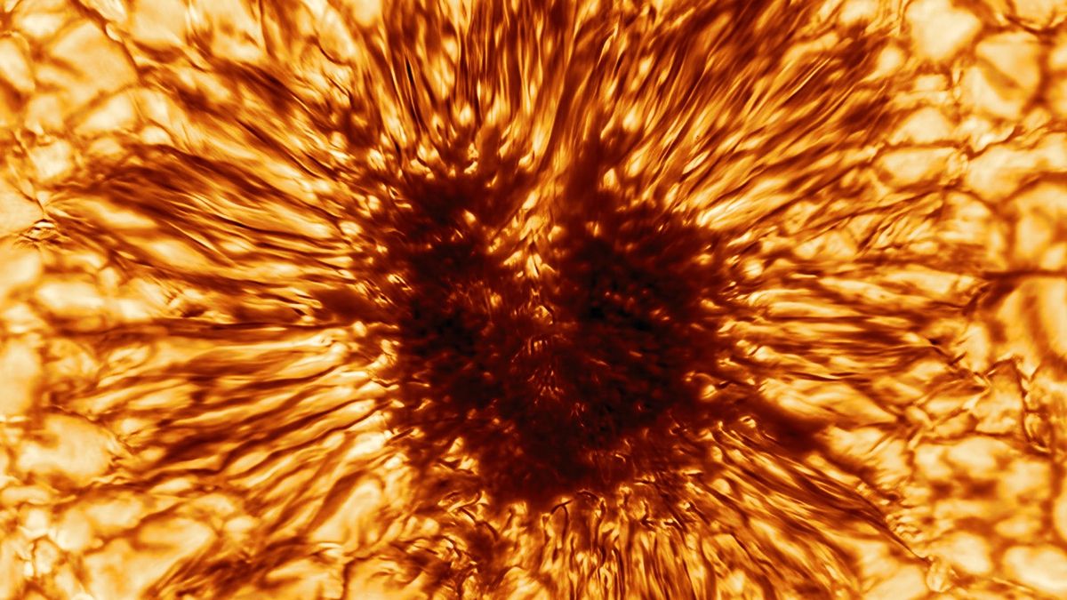 Опубліковано найдетальніше фото плями на Сонці - фото 1