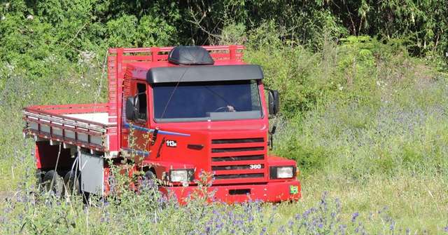 Ентузіаст з Бразилії змайстрував зменшену копію Scania з витратою палива 8 л/100 км: фото - фото 438106