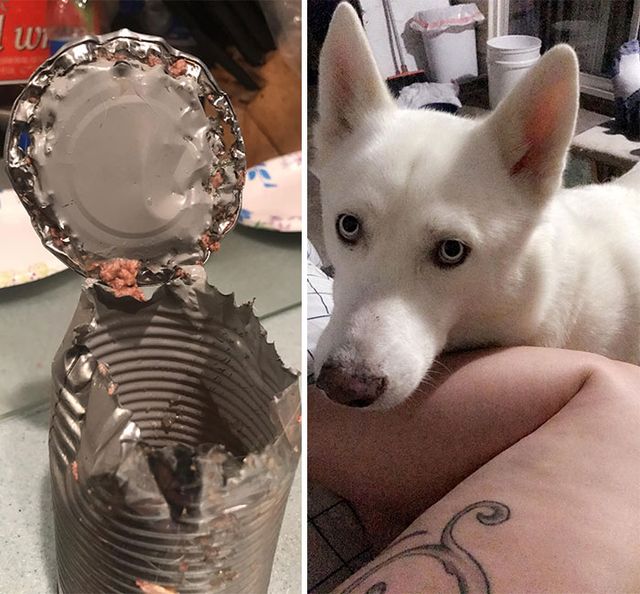 Sashinka Bogatova - фото 438325