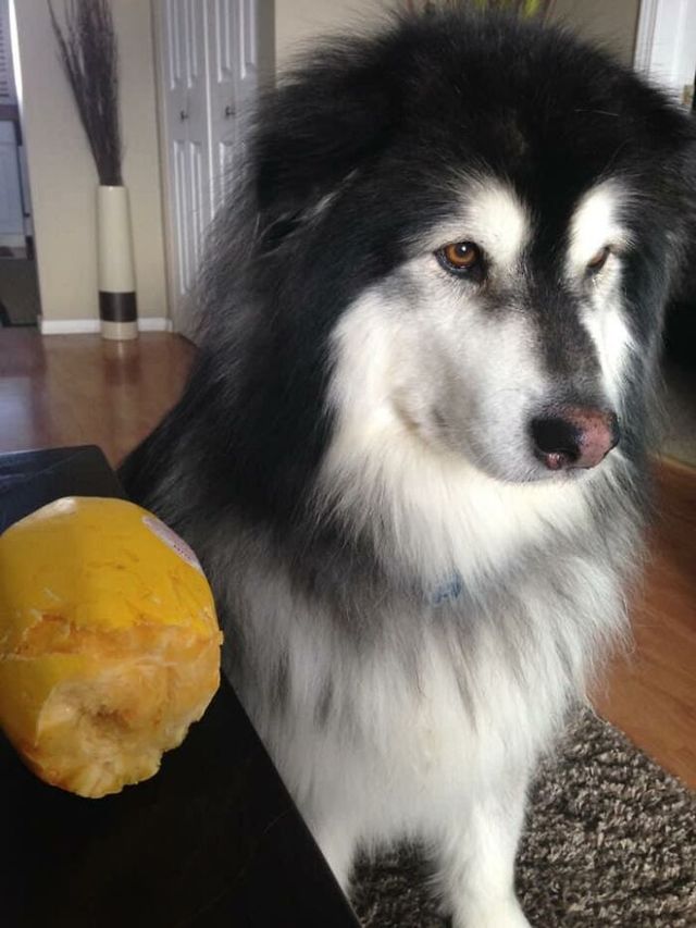 Samantha Urton - фото 438326