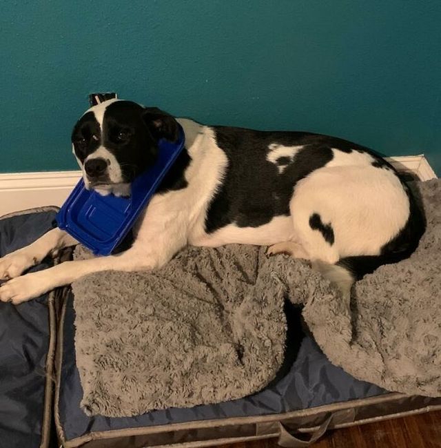 Kayla Robinson - фото 438327