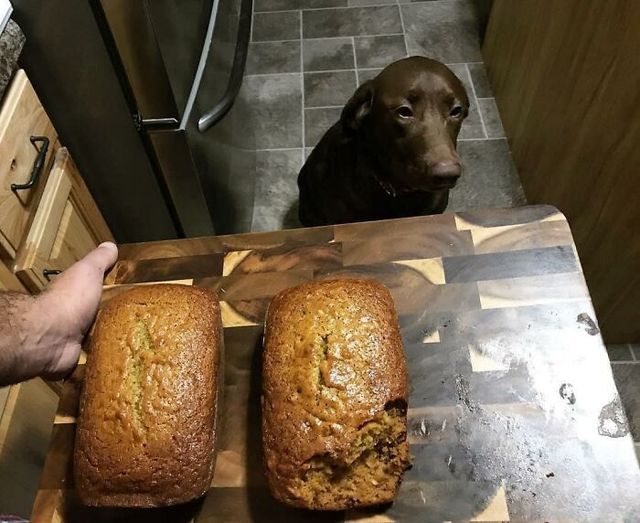 Michaela Ratajczak - фото 438329