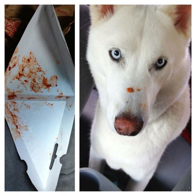 Lisa Nolen - фото 438330