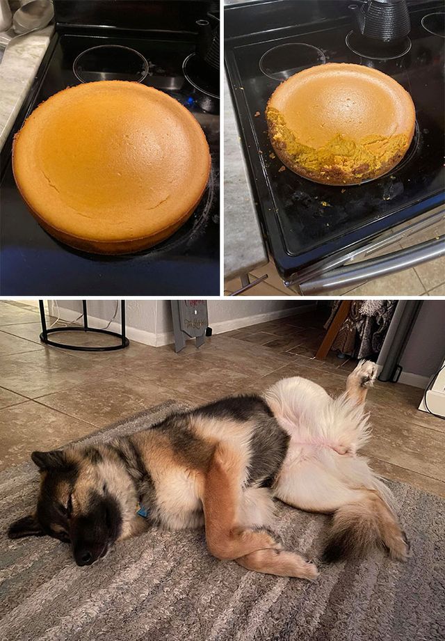 Jaimie McGinnis - фото 438331