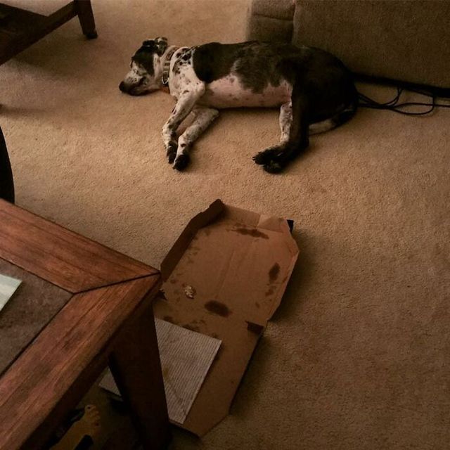 Corrine Cooper - фото 438332