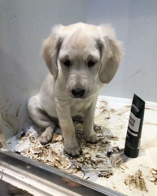 Cayla Rubacky - фото 438334