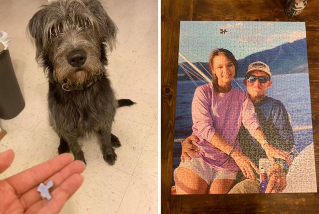 Emily Nguyen Proctor - фото 438335