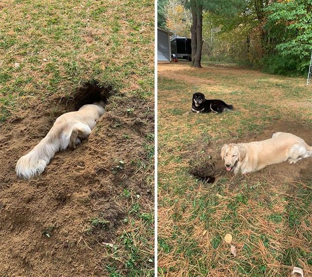 Mike Hock - фото 438336