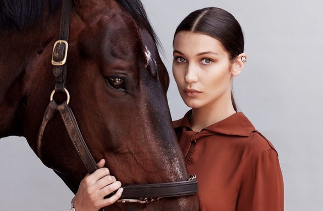 Як змінювалася найкрасивіша жінка світу Белла Хадід: фото 18+ - фото 438526