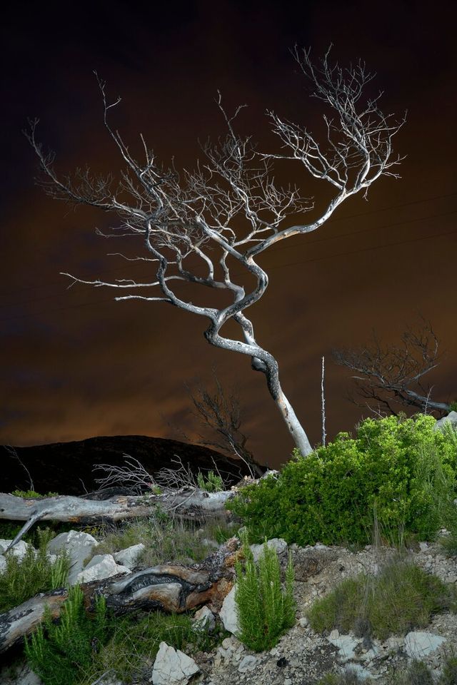 Earth Photo 2020: організатори конкурсу оголосили переможців - фото 438547