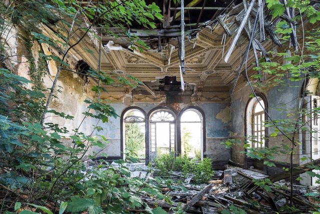 Earth Photo 2020: організатори конкурсу оголосили переможців - фото 438550