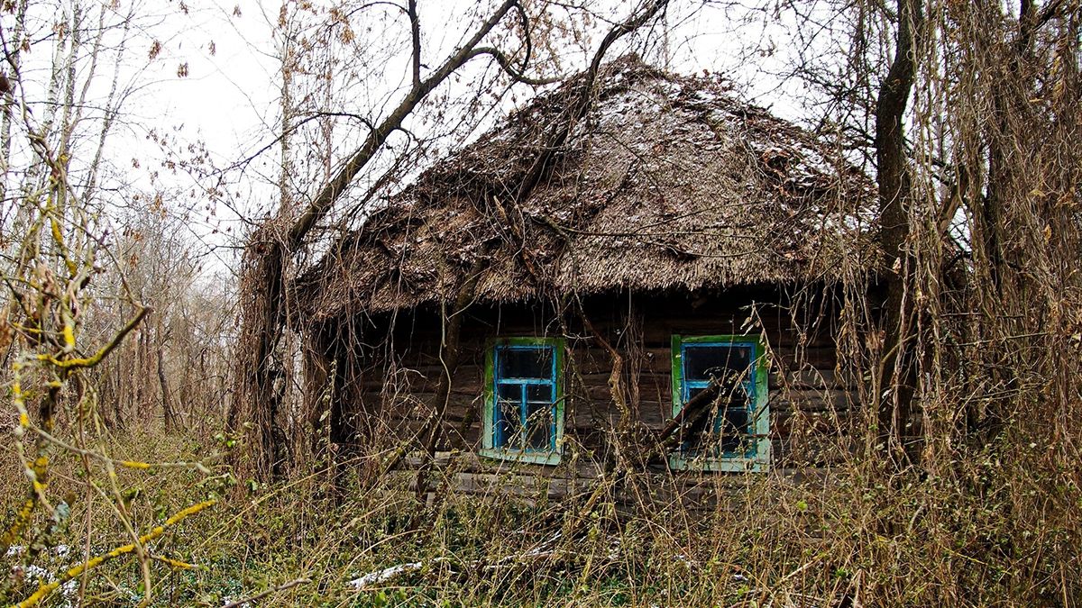 У Чорнобилі виявили унікальну хатинку: фото - фото 1