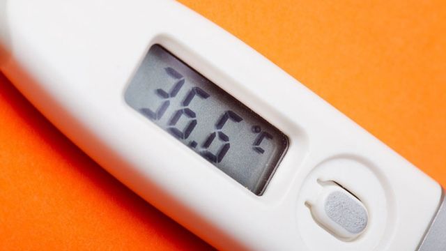 Як правильно виміряти температуру тіла - фото 438638
