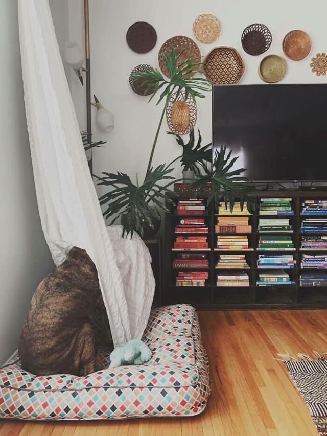 Andi M. Johnson - фото 438709