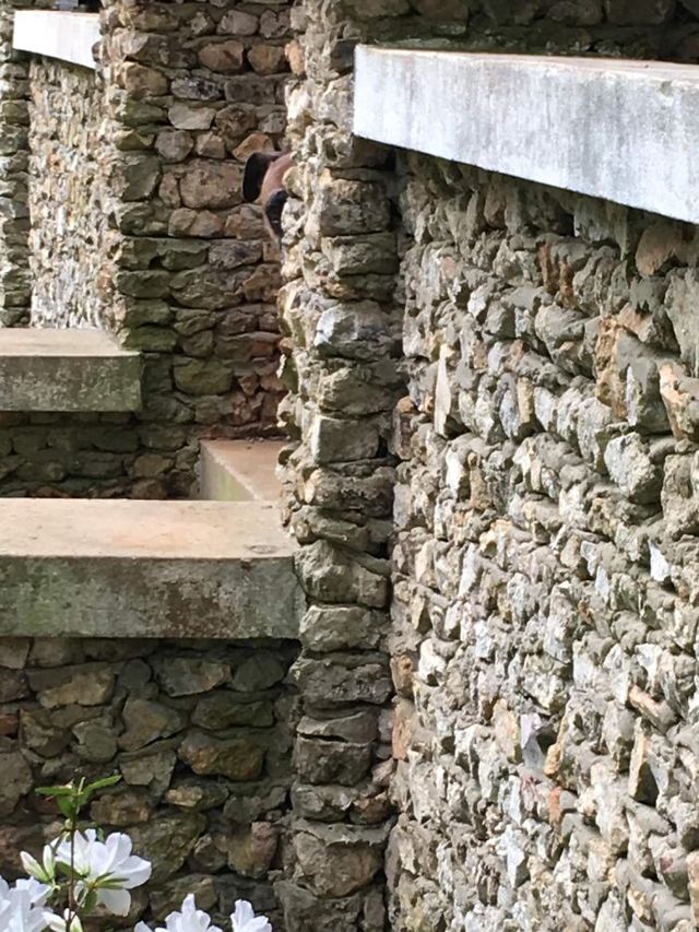 Ashley McAlpin - фото 438712