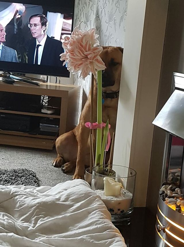 Melanie Loyley - фото 438713