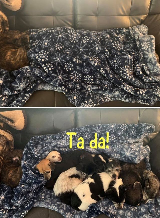 Vanessa Ryan - фото 438715