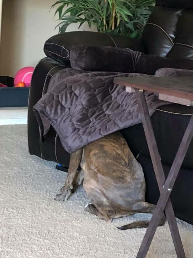 Michelle Mabarak Steiner - фото 438716