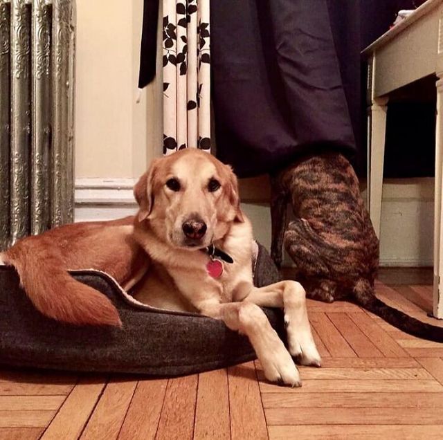 Alanna John - фото 438721