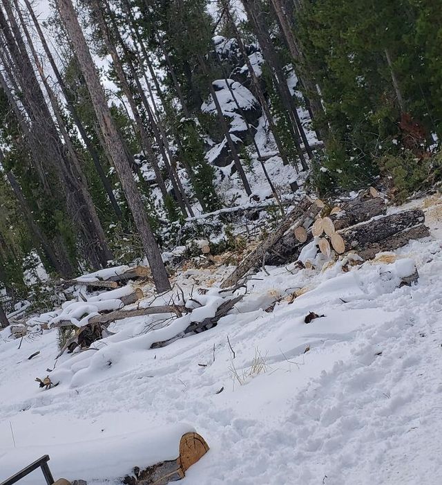 Bryson Leggitt - фото 438722