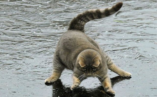 Лікарі розповіли, як не постраждати через ожеледицю - фото 438739