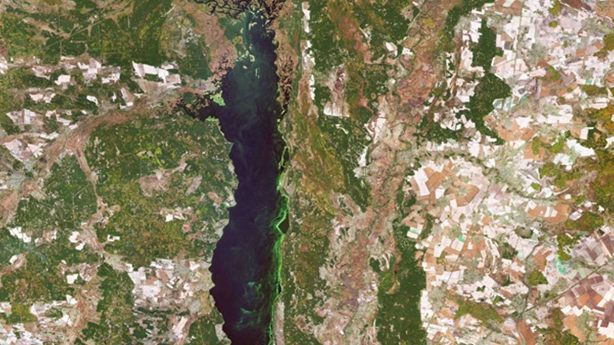 У мережі показали, як Київ виглядає з космосу: вражаючі кадри