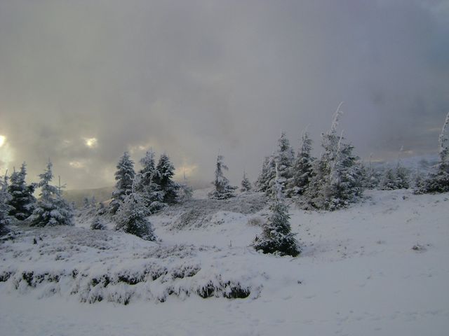 У мережі з'явилися видовищні фото засніжених Карпат - фото 439160