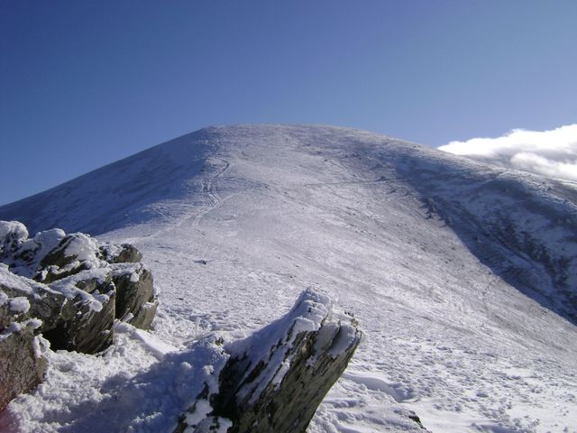 У мережі з'явилися видовищні фото засніжених Карпат - фото 439162