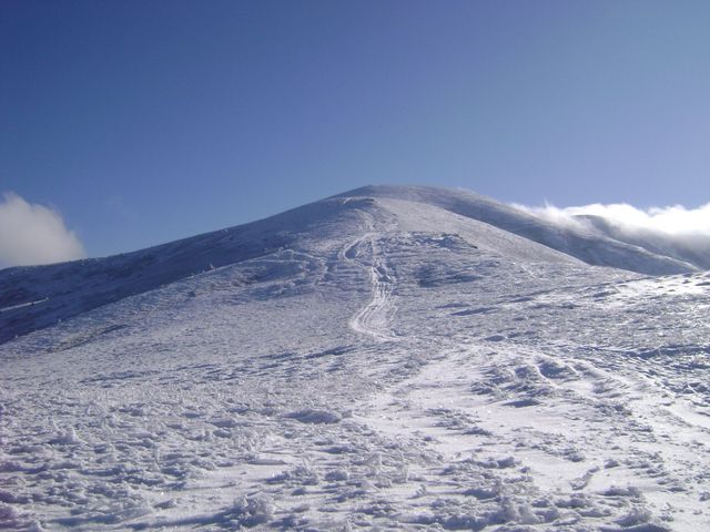 У мережі з'явилися видовищні фото засніжених Карпат - фото 439165