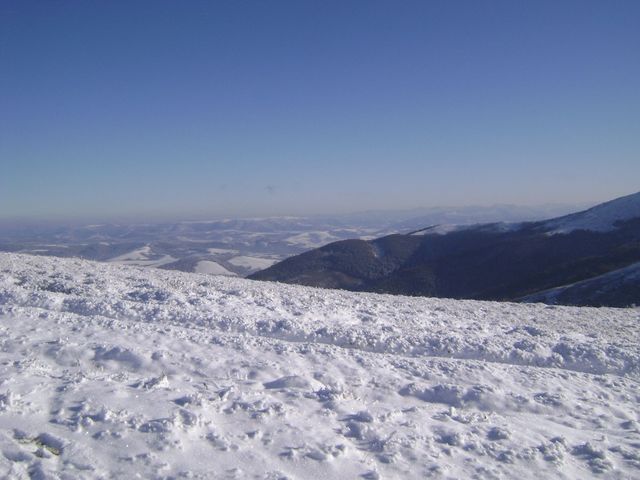 У мережі з'явилися видовищні фото засніжених Карпат - фото 439168