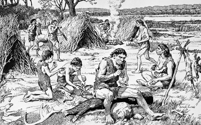 Наші предки могли впадати в сплячку, щоб пережити холоди: нове дослідження - фото 439289