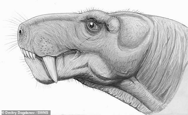 Як виглядали хижаки 250 мільйонів років тому: науковці відтворили образ звірів - фото 439654