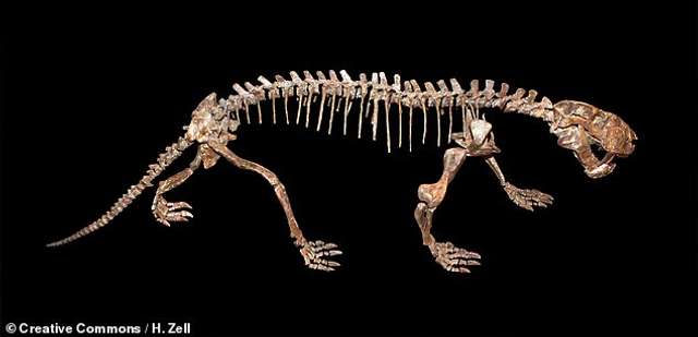 Як виглядали хижаки 250 мільйонів років тому: науковці відтворили образ звірів - фото 439655
