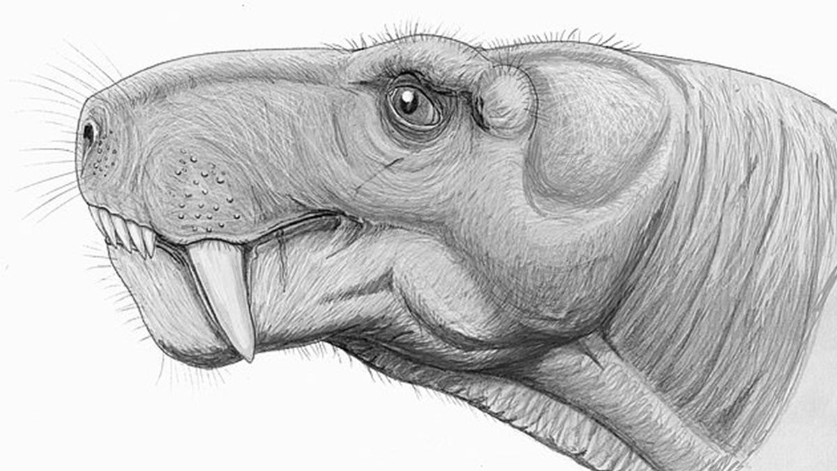 Як виглядали хижаки 250 мільйонів років тому: науковці відтворили образ звірів