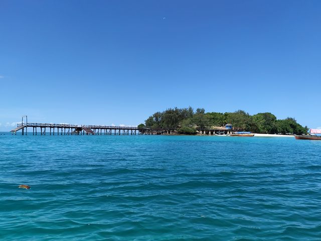 Я сюди не розважатися приїхав: як поєднати роботу та відпочинок на Занзібарі - фото 439864