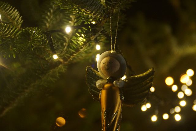 5 березня 2023 – яке сьогодні свято: традиції, заборони і прикмети - фото 439979