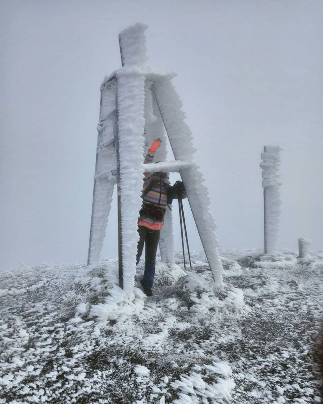 Зимова казка: мережу захопили фото засніжених Карпат - фото 440166