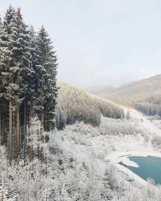 Зимова казка: мережу захопили фото засніжених Карпат - фото 440167