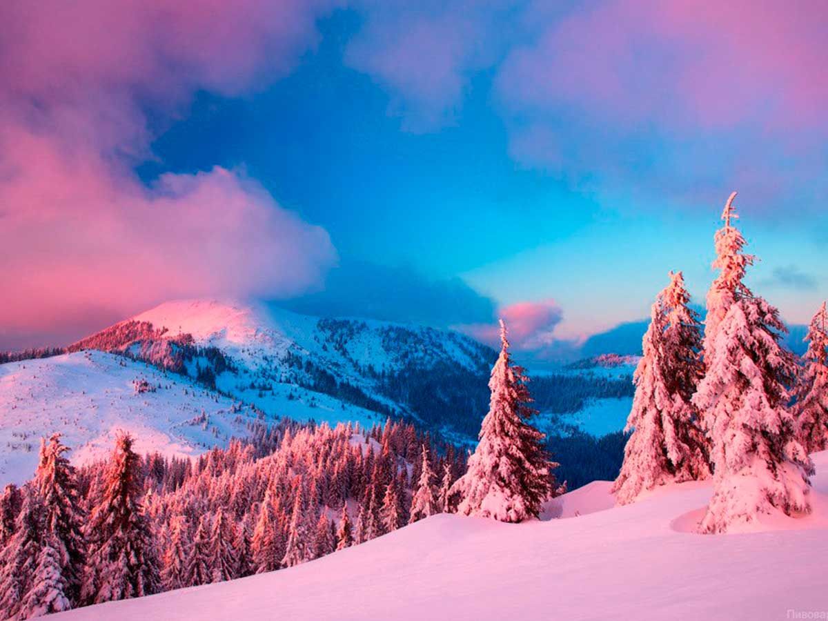 Зимова казка: мережу захопили фото засніжених Карпат