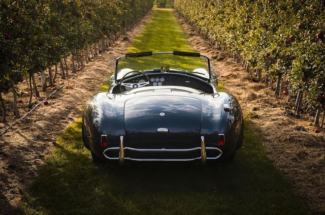 Родстер Shelby Cobra Керола Шелбі пустять з молотка - фото 440383