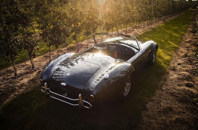 Родстер Shelby Cobra Керола Шелбі пустять з молотка - фото 440385