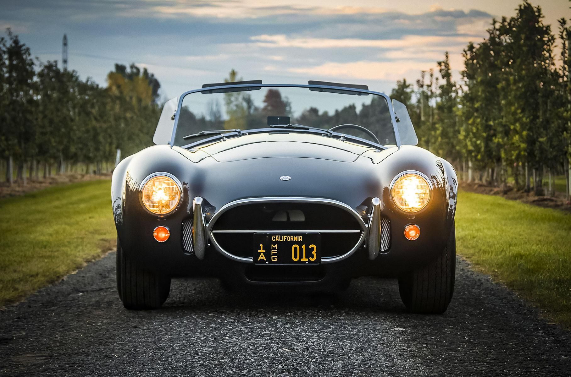 Родстер Shelby Cobra Керола Шелбі пустять з молотка